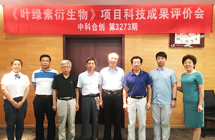 叶绿素衍生物 anli.jpg